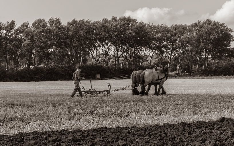 Ploegen van de Utregter Fotografie