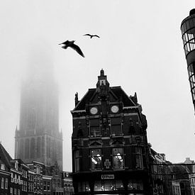 Domturm Utrecht mit Vögeln im Nebel von Patrick van den Hurk