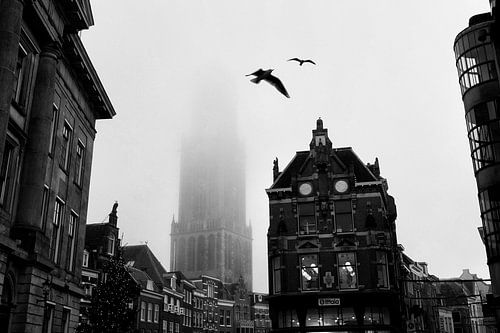 Domturm Utrecht mit Vögeln im Nebel