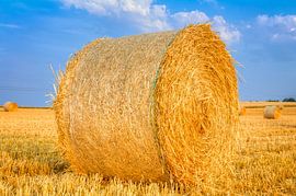 Goldener Heuballen in der Erntezeit