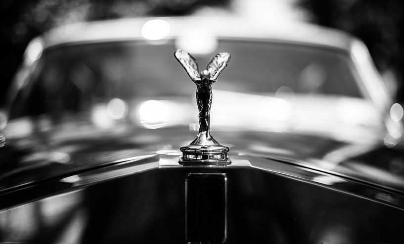 Rolls Royce 'Spirit of Ecstasy' van Dennis Wierenga