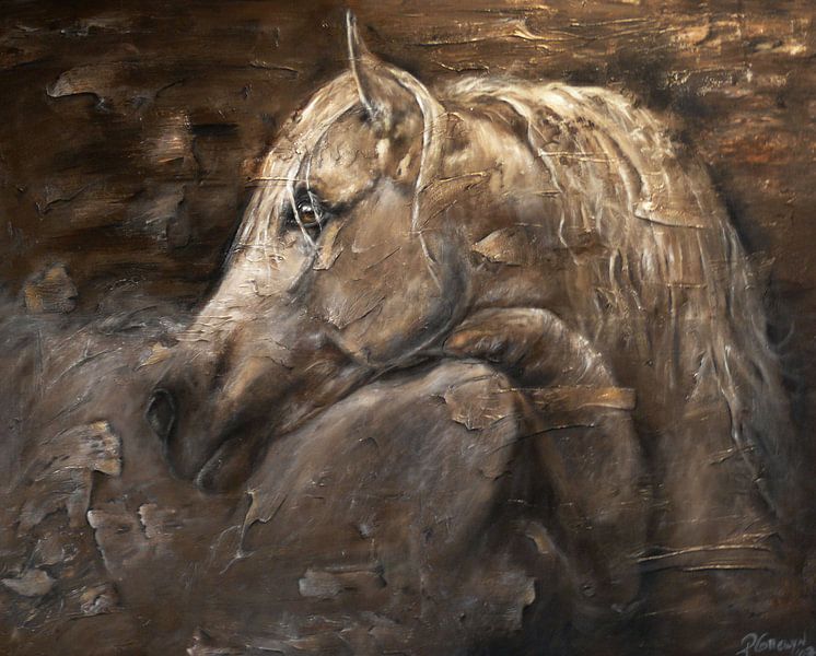 Cachemire par Paula Collewijn