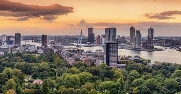 Rotterdam by Herman van den Berge