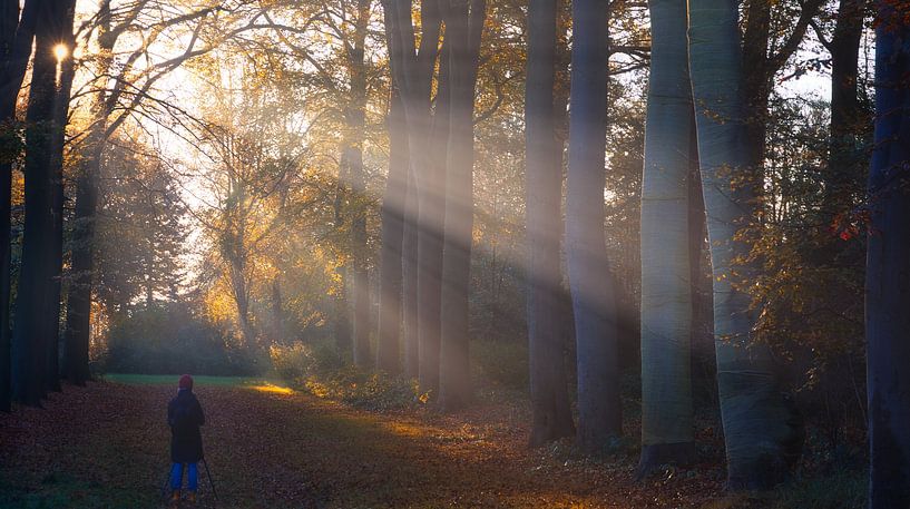 photographer in the autumn forest by peterheinspictures