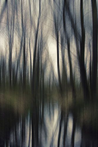 Floodplain - abstract