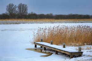 Steg zwischen Schilf mit Eis und Schnee