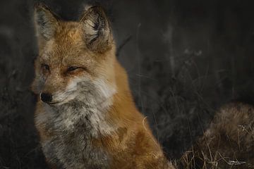 fox sitting in the forest by Gelissen Artworks
