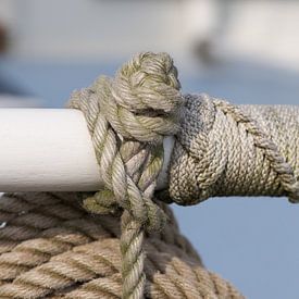 In de knoop van Mark Leek