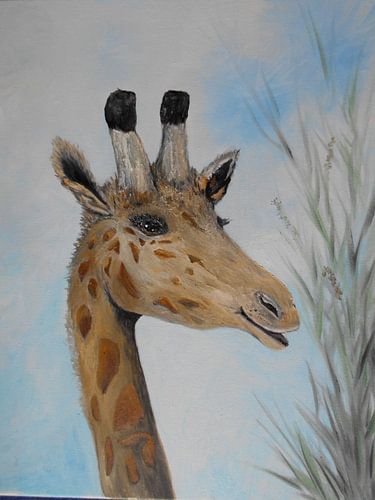 The Smiling Giraffe