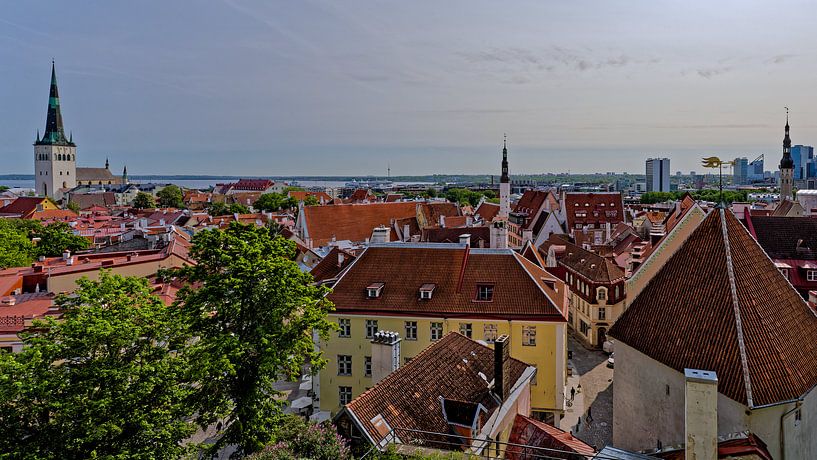Tallinn (Estonia), view of the Old Town by Imageditor