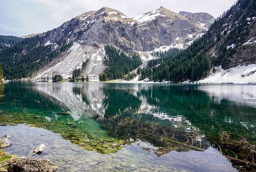 Vilsalpsee in het Tannheimer Tal - een betoverend bergmeer met heldere kleuren, een vredige sfeer en een indrukwekkend Tirools bergdecor.
