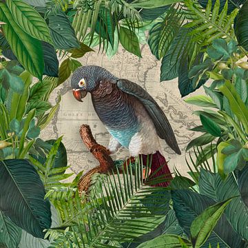 Tropical Journey Of The Parrot by Andrea Haase