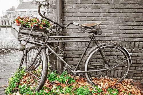 Ingekleurde transportfiets in Dalfsen van Willem Visser