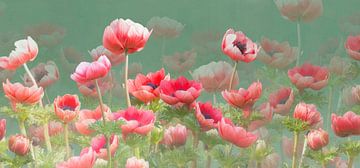 Rode anemonen van Fionna Bottema