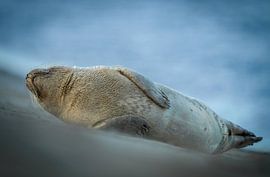 Lounging on the Katwijk beach by Dirk van Egmond