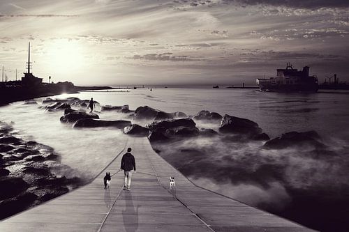 Who let the dogs out