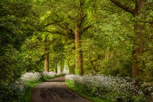 Het Fluitepad von Lars van de Goor