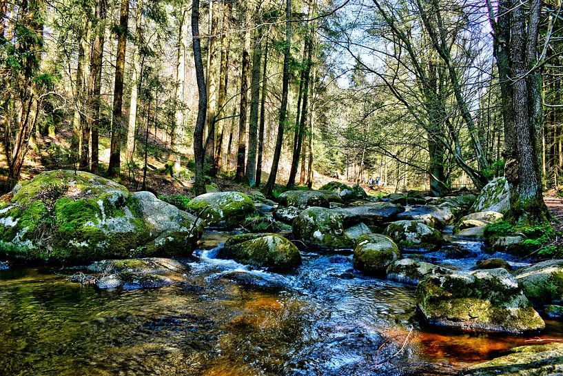 The Höllbach Valley by Roith Fotografie