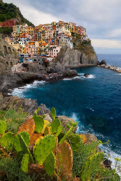 Manarola - CInque Terre von Thijs Friederich