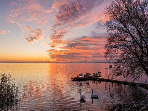 Zonsondergang bij de zwanen aan het Balatonmeer