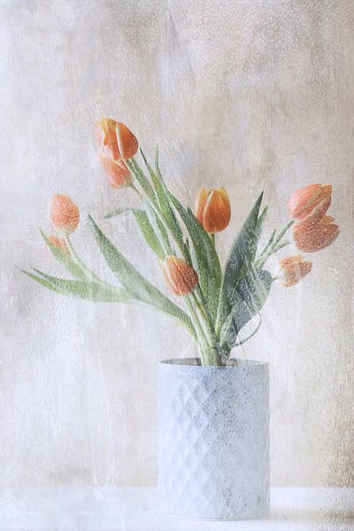 Un bouquet de tulipes par Delphine Devos