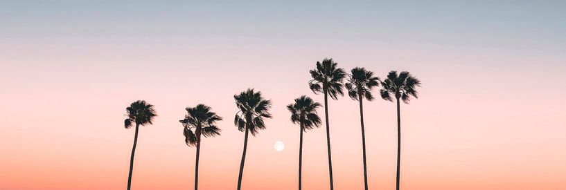 Zonsondergang tussen palmbomen van Poster Art Shop