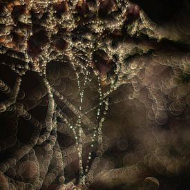 Spinnenweb bij ochtendlicht van Nanda Bussers