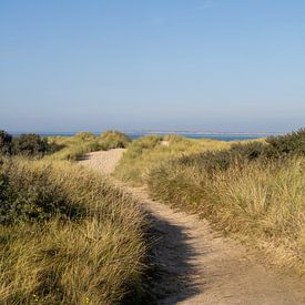 Strandpad naar de horizon van Nicolette Suijkerbuijk