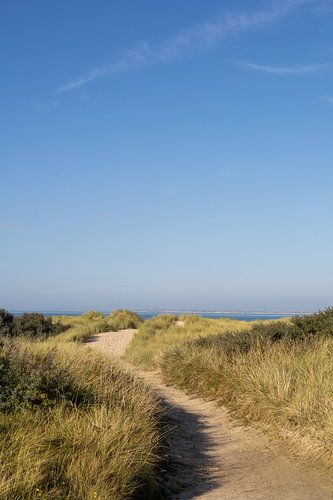 Strandpad naar de horizon