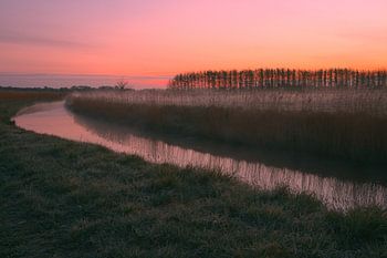 Ein kalter Frühlingsmorgen
