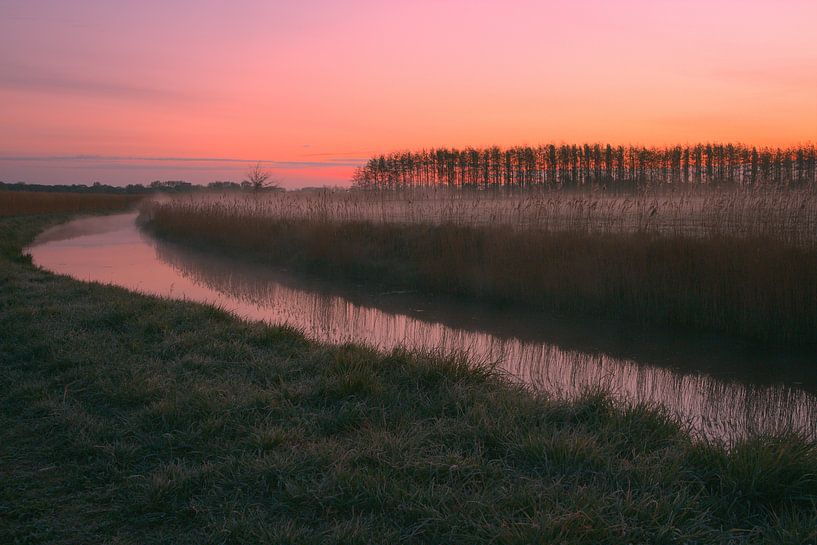 A cold spring morning by Kelly Berghuis