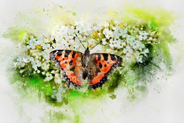 De vlinder van Claudia Evans