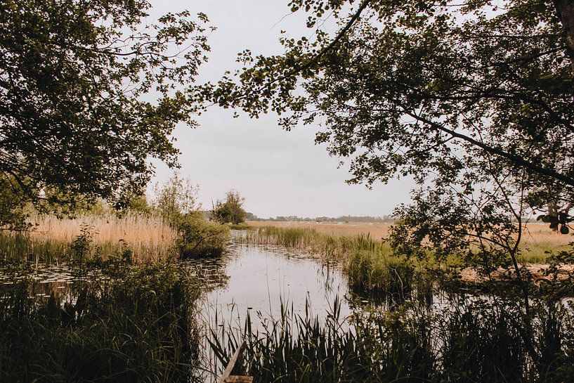 Landscape in Weerribben by Gerlinda Lassche