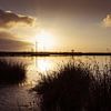 Huis ter Heide - The Nut by Dirk Smit