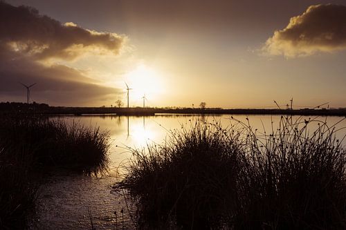 Huis ter Heide - Die Nuss