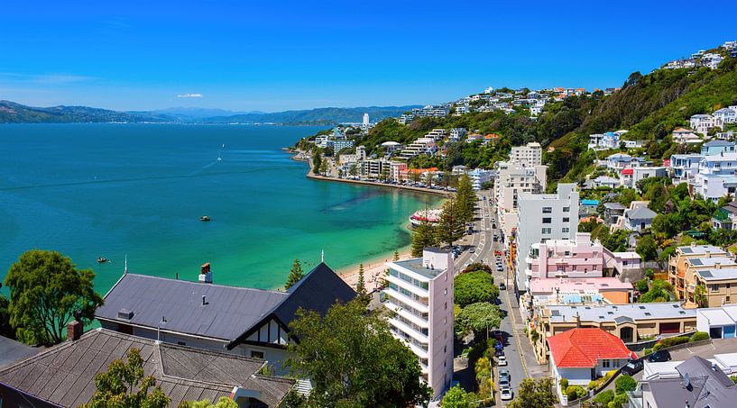Wellington city, New Zealand. by Yevgen Belich