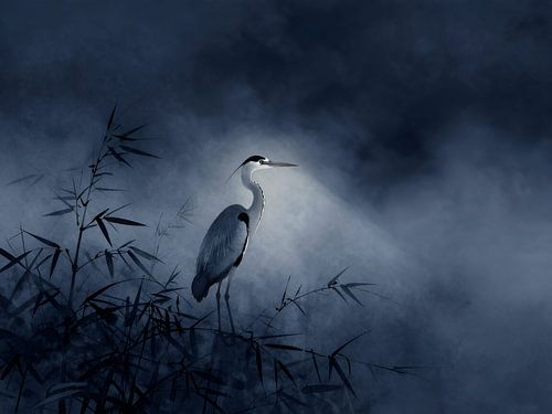 A heron in the night mist