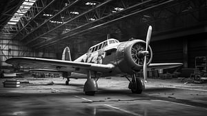 Ein Schwarz-Weiß-Foto eines alten Vintage-Flugzeugs im Hangar, Kunstdesign