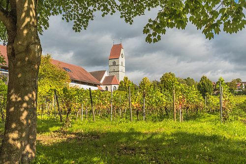 De Sint-Johannes de Doperkerk in Hagnau aan het Bodenmeer – Omringd door wijngaarden