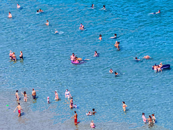 Het strandleven