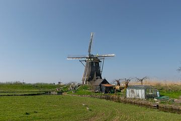 Wunderschöne holländische Windmühle auf einem Deich bei strahlend blauem Himmel