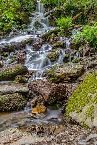 Waterval bij Laubach
