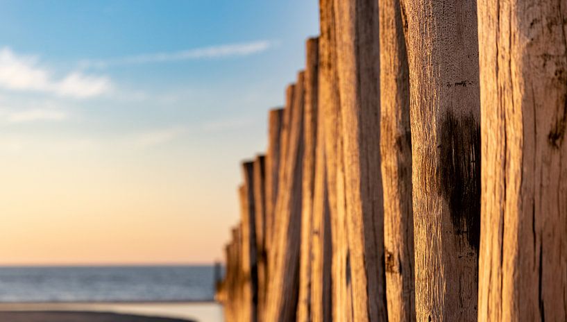 Close-up of beach poles in evening light by Percy's fotografie