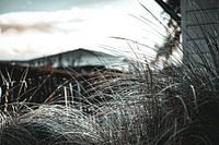 Parc du Soleil NL