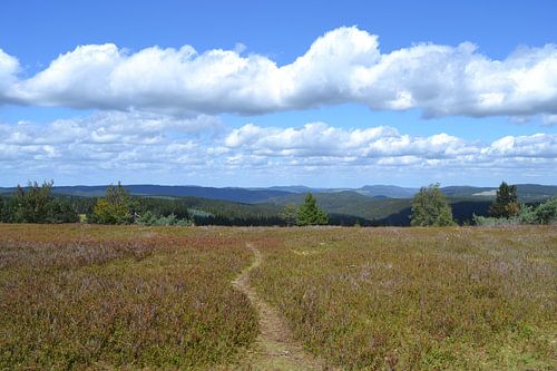 Winterberg, zicht vanaf de Kahler Asten