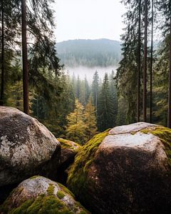 Melodie der Weite