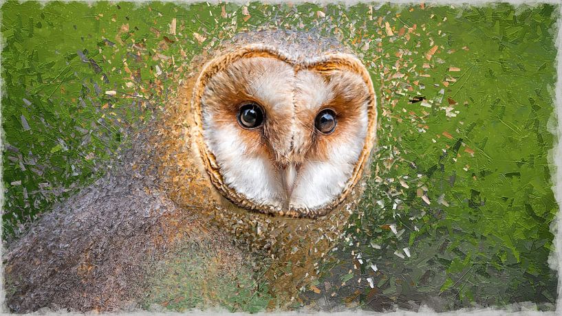 Digitale Malerei Schleiereule von DroomGans
