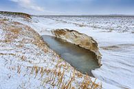 Verlaten winters landschap van Peter Bolman thumbnail