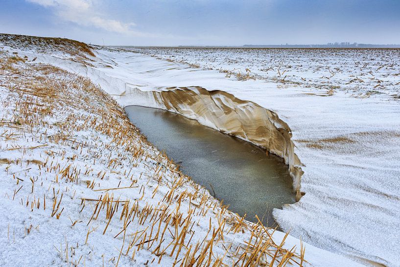 Verlaten winters landschap van Peter Bolman