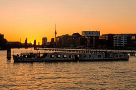 Berlijnse skyline Mediaspree met rifwrak van Frank Herrmann